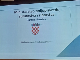 641699819_1496213749175948_4847359535121931788_n